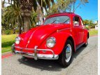 Thumbnail Photo 125 for 1956 Volkswagen Beetle